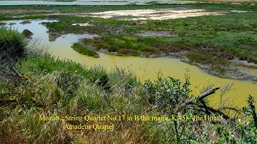 Mozart : String Quartet No.17 in B flat major, K.458 