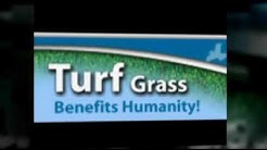 Tree Care in Rochester NY