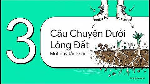 Cấu trúc rừng ảnh hưởng trực tiếp đến dự trữ carbon và sự phong phú loài cây gỗ trong rừng tự nhiên