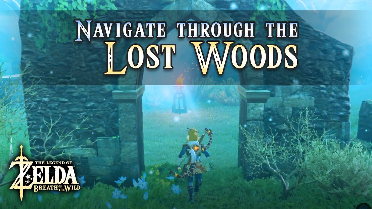 Tip For The Lost Woods Great Hyrule Forest Navigation Guide Breath Of The  Wild Zelda - Youtube