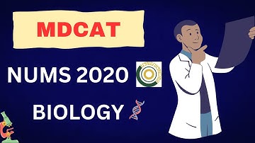 NUMS 2020 | MDCAT Past Paper