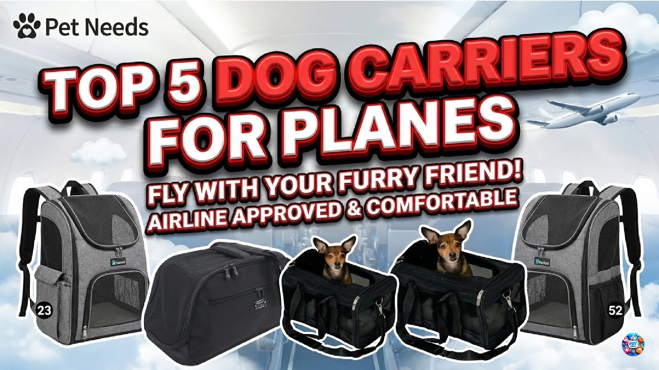 Illustration of Dog Approved Planes