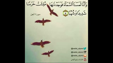 سورة الجن بصوت القارئ وديع اليمني