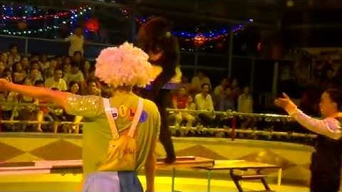 TQ: xiếc gấu,xiếc thú,xiếc khỉ,chó, trăn, xiếc voi 0914885886