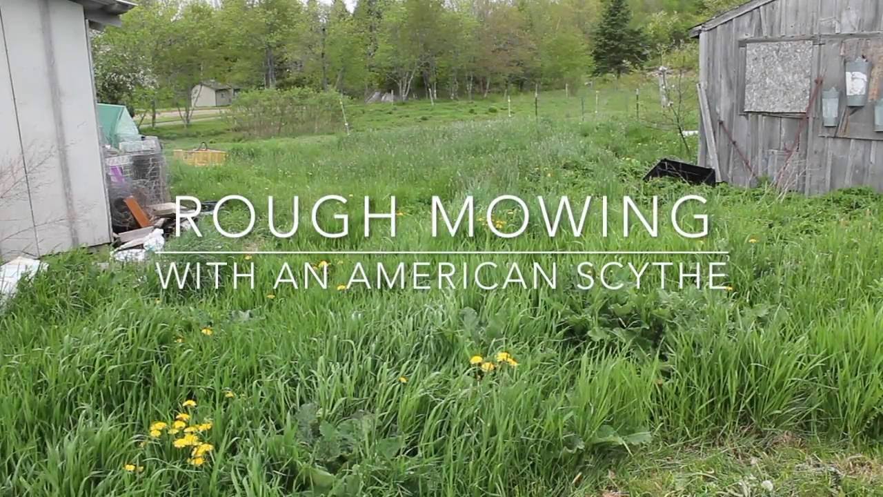Rough Mowing With An American Scythe