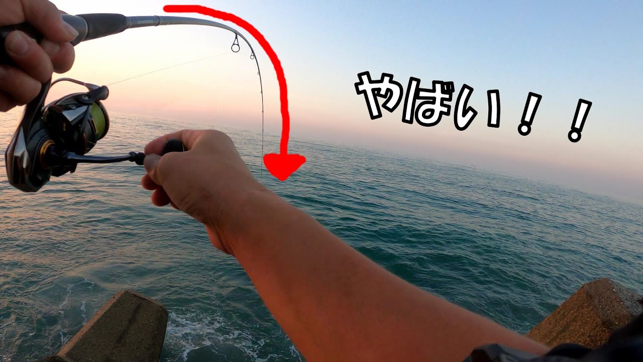 大物がうようよする赤羽根漁港で焦る堤防釣り初心者。青物来い！！！