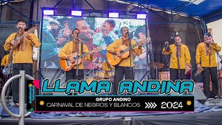 Llama Andina🥁Audiciones Tablados 2024🎭Carnaval de Negros y Blancos