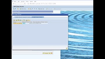 S4HANA 1610 S4HANA Remote Access S4HANA 1610 server