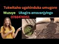 Kutagira Amavanjyingo Nuko Utabyitaho Nubicyenera Uzahita Uyagira Kutagira Amavanjyingo Nuko Utabyitaho Nubicyenera Uzahita Uyagira