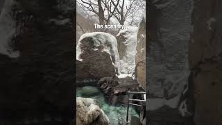 This Snowy Hot Spring in Hokkaido Feels Unreal 🇯🇵❄️
