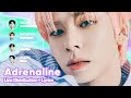CRAVITY - Adrenaline (Line Distribution + Lyrics Karaoke) PATREON REQUESTED