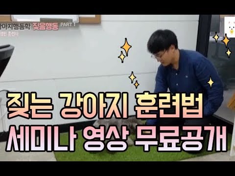 [강아지 훈련] 짖는 강아지 훈련 part.1 / 긍정교육 / 카밍시그널 l 펫을부탁해