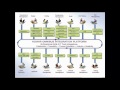 Webinar on Developing OSLC Based Integration Kovairs Experience