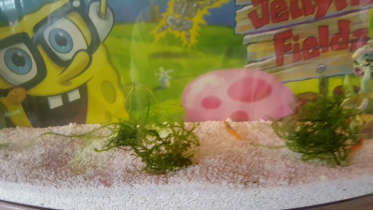  UPDATE!!!! || What Videos Do You Want to See???