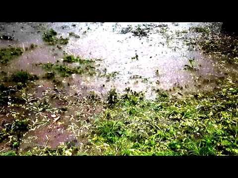 Video: After A Thunderstorm, Circles Appeared On The Grass Near The Village Of Likhachi - Alternative View