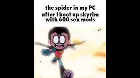 the spider in my PC after I boot up skyrim with 600 sex mods