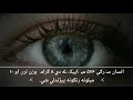 دانسان سترګې څو ميګاپيکلسه دي په ويډيو کې وګورئ