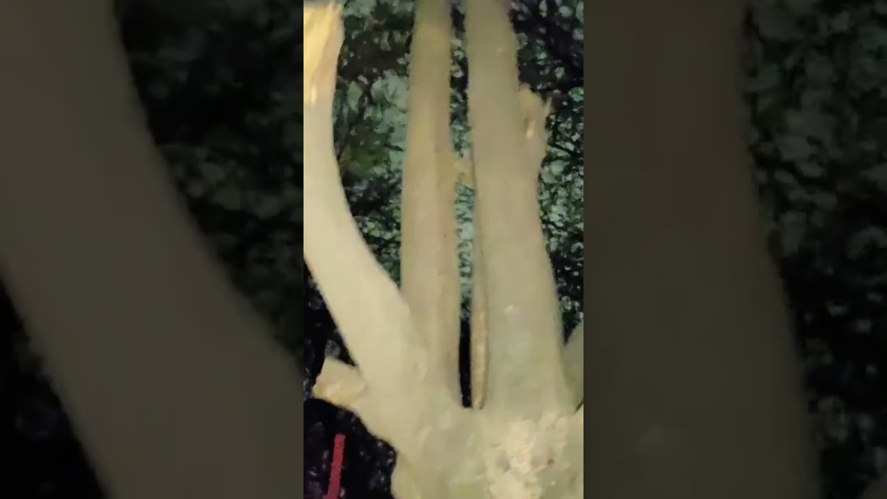 visit Haunted Temple at midnight very horror temple capture creepy moments 😱☠️😱😱