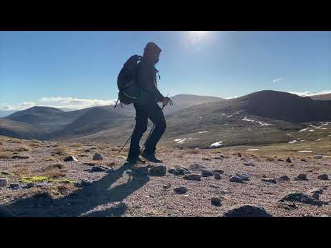 Video: Long-armed Gray Monster From Mount Ben Macduy In Scotland - Alternative View