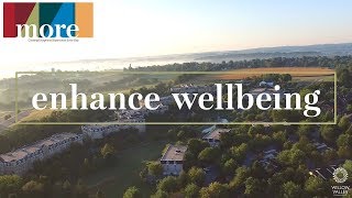 Enhance Wellbeing - Our MORE Values