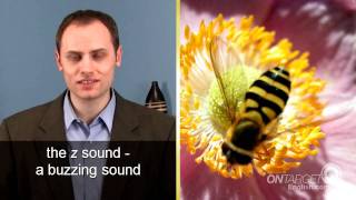 English pronunciation - s sound and z sound