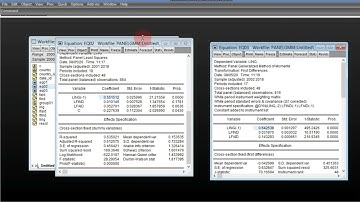 System Generalized Method of Moment GMM SYS for Panel Data Dynamic in Eviews