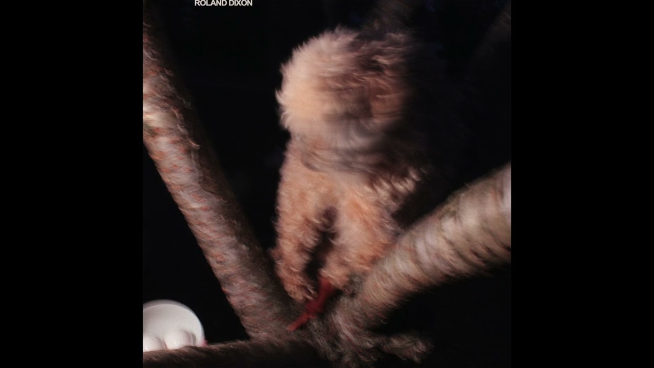 Anyhow | Roland Dixon