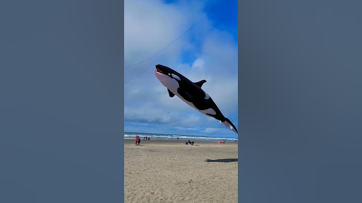 The Orca #shorts #2022 #travel