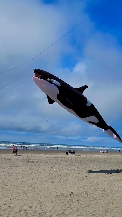 The Orca #shorts #2022 #travel