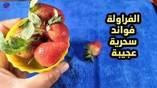 فوائد الفراولة العجيبة واهم الامراض التى تعالجها الفريز فوائد مذهلة حقا ؟؟
