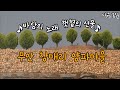 [다큐3일]바람의 노래 햇볕의 선물-무안 창매리 양파마을 by KBS광주