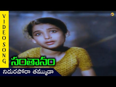 Nidhurapora Thammuda Video Song |Santhanam Movie Songs| Nageswara Rao | Savitri | TVNXT Telugu Music
