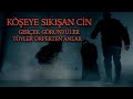 Köşeye sıkışan Cin Paranormal olaylar 