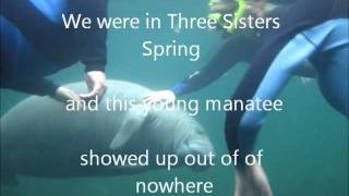 Manatee Interaction 101