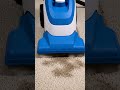 #rugcleaning #asmr #asmrsounds