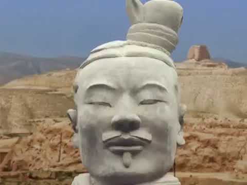 იმსახურებს ეს ვიდეო 100 ნახვას?