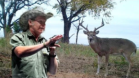 Baiting Bucks - Should we do it? Ted Nugent tells the TRUTH... AGAIN