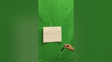 Week 5: Ecosystem Worksheet Video