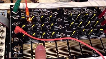 Makenoise Brains expansion port