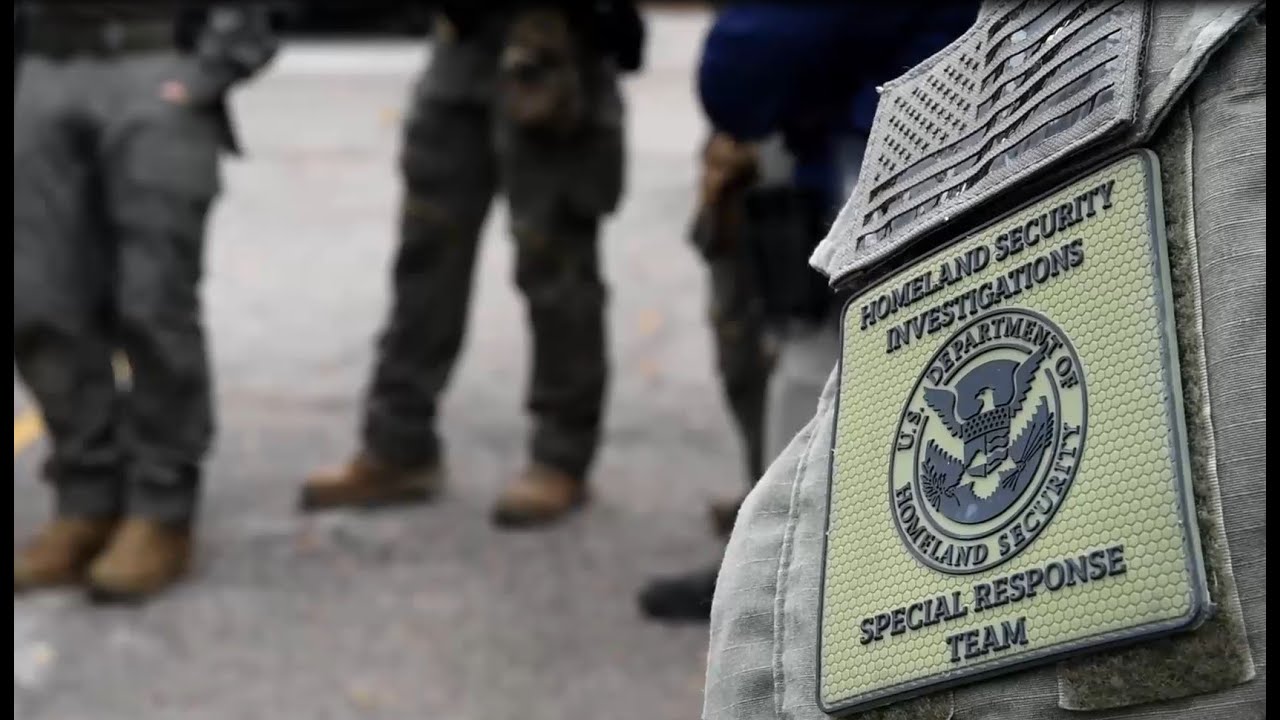 Why should law enforcement agencies partner with HSI to stop Organized