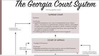 4.6.1 Practice ~ Your State Court System (Georgia)