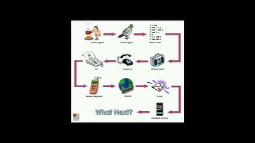 evolution of communication