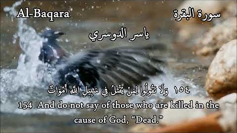ما تيسّر من #سورة #البقرة ، #ياسر_الدوسري   Al Baqara 153 -157 #Arabic #English #Translation