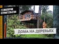 ДОМИК НА ДЕРЕВЕ ДЛЯ ВЗРОСЛЫХ. СКОЛЬКО СТОИТ И КАК ПОСТРОИТЬ?