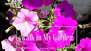 Walk in My Garden ~ Summer 2016