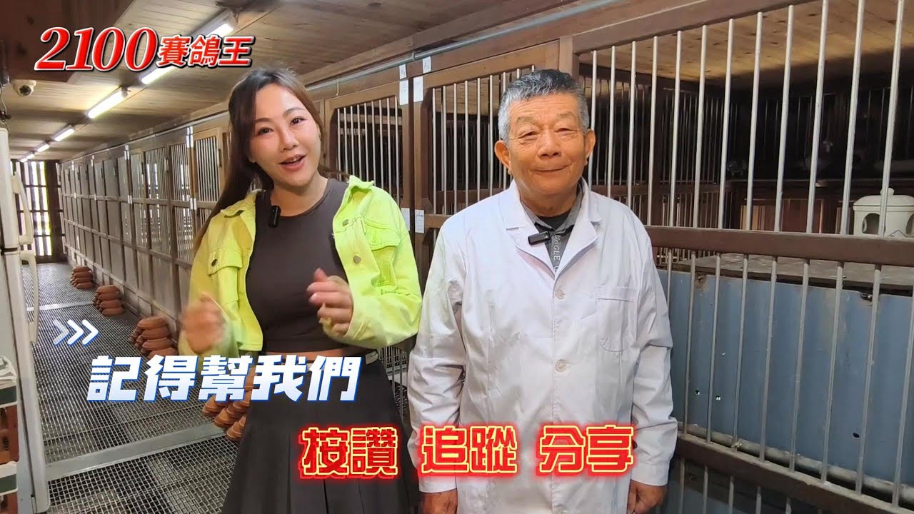 王孜益 【螺絲王】  2025年壓軸好戲 莊氏傳奇 再創神奇特作60羽連號 精彩獻藝  #祕包  #賽鴿廟 #春節 #賽鴿 #種鴿 #養鴿 #南北海翔 #陸翔海翔 #冠軍  #2100賽鴿王