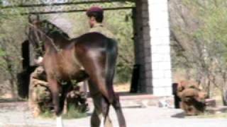 MVI_2114.AVI
