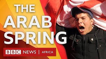 How did the Arab Spring start in Tunisia? - BBC What