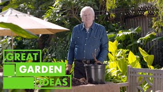 Winter jobs to do around the Garden | GARDEN | Great Home Ideas by Great Home Ideas 3,316 views 2 days ago 6 minutes, 15 seconds