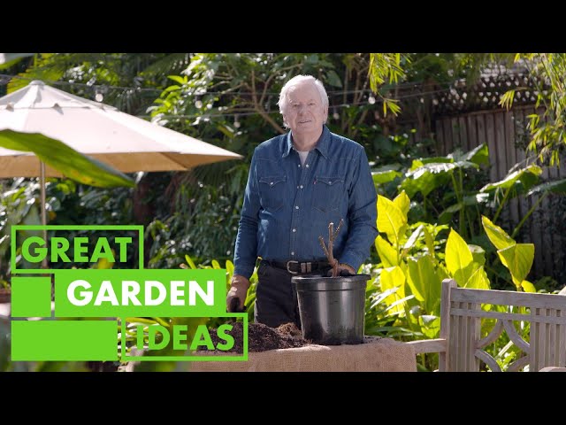 Winter jobs to do around the Garden | GARDEN | Great Home Ideas